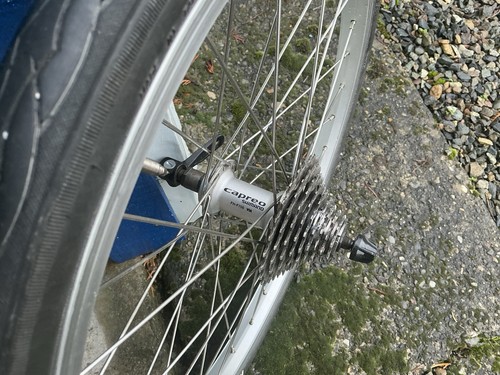 Shimano capreo rear hub - capreo,